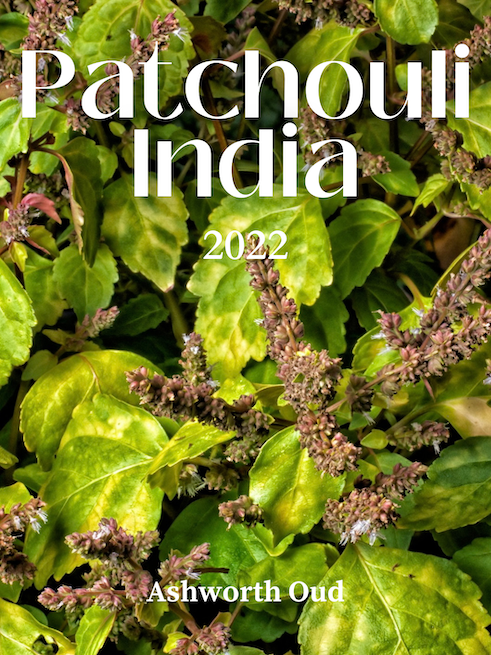 Patchouli, India